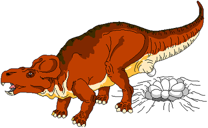 Protoceratops 5